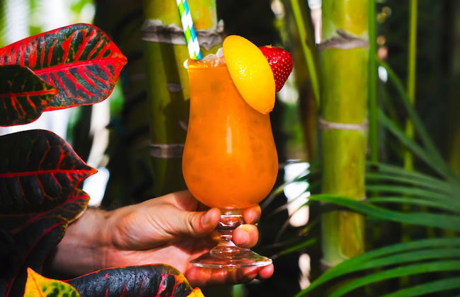 Marinell Collection Palm-Mar - Foto 67