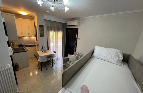 Metaxenia's apartment 102 - Foto 4