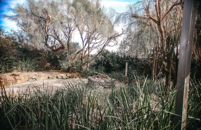 Anchors Beach House - Foto 35