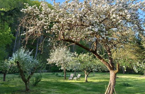 Villa Heimlicher Grund - Photo 28