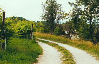 Asolo Norah's Hill Agri Rooms - Foto 45
