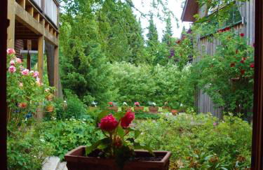 FeWo Jacob - Foto 21