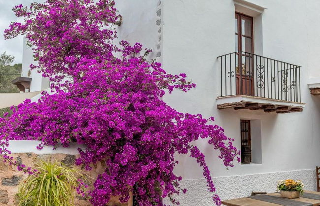 Agroturismo Can Pere Sord - Photo 7