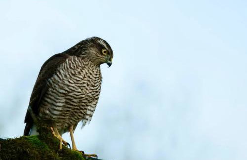 Elm Tree Cottage - Photo 3