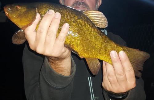 Pauza Drzewoszewo - Dom nad jeziorem - Foto 15