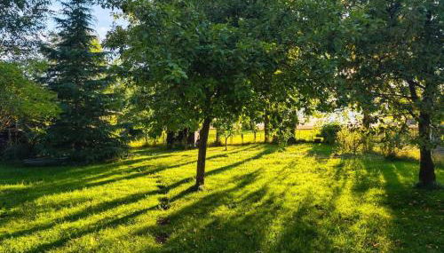Ferienhaus Ellmi - Foto 3, Garden, Garden view