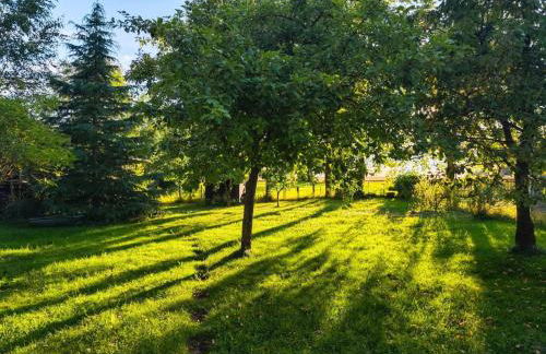 Ferienhaus Ellmi - Foto 3