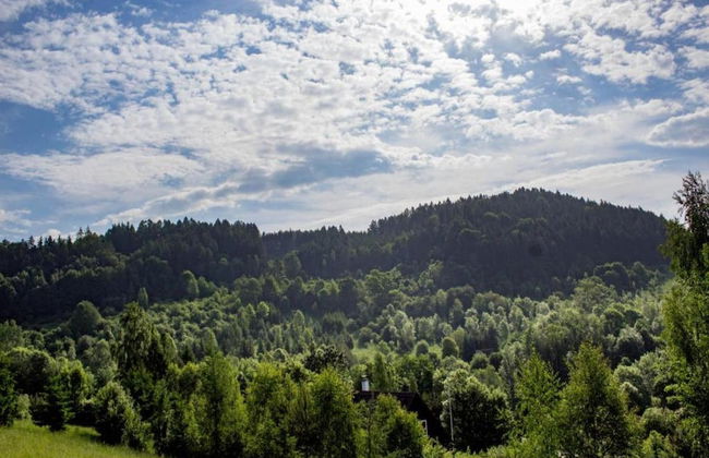 Luxury Chalet in Stupna near Ski Area - Foto 39