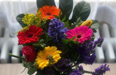 S-VILLA Apartments im Schwarzwald - Foto 75