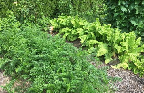 Landhaus Almyssen - Foto 34