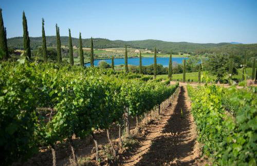 Agriturismo Poggio Corbello - Foto 101