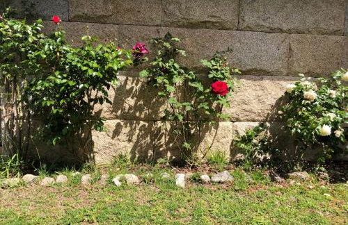 Gerês - Caniçada - Foto 44