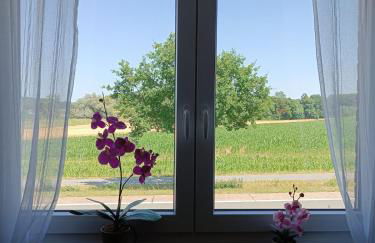 Lovely apartment in Oelde with separate entrance - Foto 4