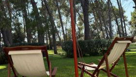 Masseria Frassaniti - Foto 3, Garden