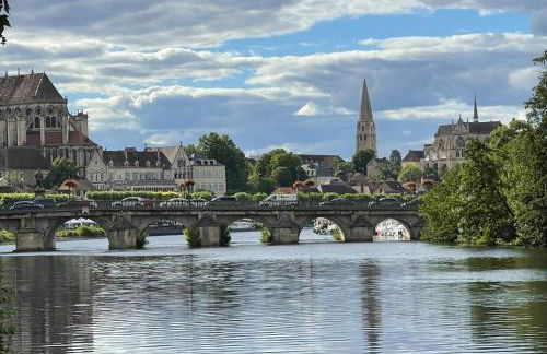 Le Pigeonnier centre historique Auxerre - Foto 60