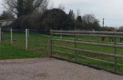 Au grand galop - Foto 36