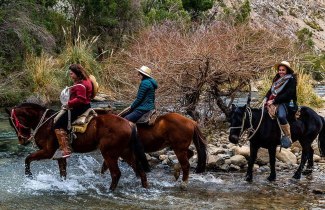 Horseback Riding in Cochiguaz - Photo 11
