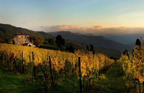 Florence Winery AgriResort - Fattoria Lavacchio - Foto 10