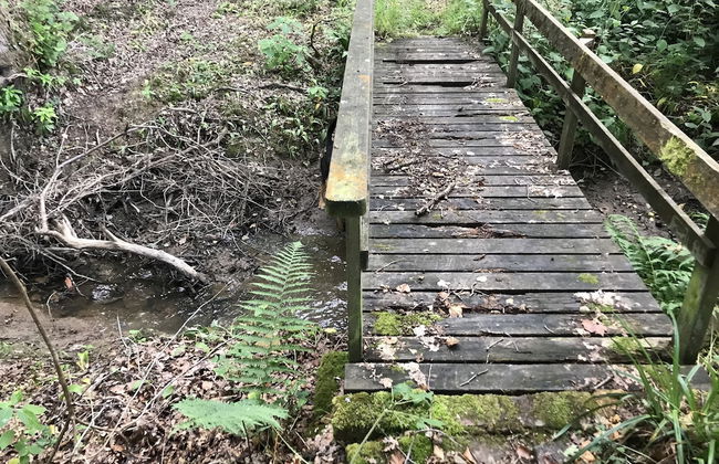 Private and Secluded Cabin in Rowfant - Foto 22