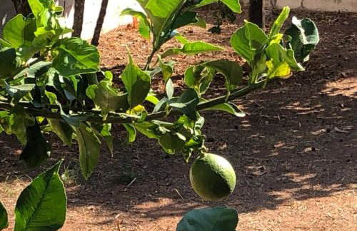 House Koula - Foto 26