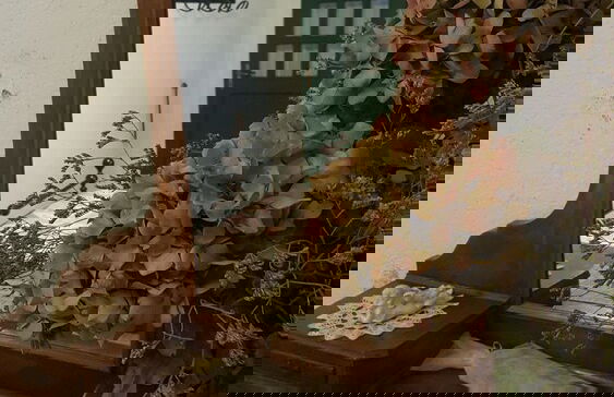 Casa Lisetta - Foto 8