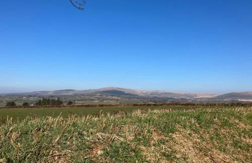 Y Gweithdy Rhos Eirin - Foto 28