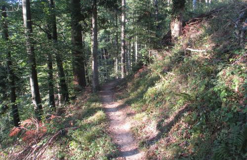 Ferienwohnung am Sulzbach - Foto 10