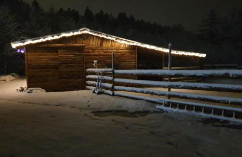 LE DOMAINE DE LA LOUVE BLANCHE - Foto 27
