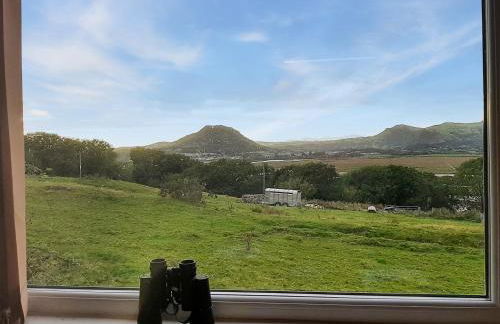 Bron Madog - Foto 23