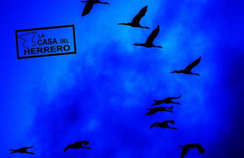 La Casa del Herrero - Foto 35