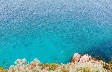 Villa Maya - Photo 49