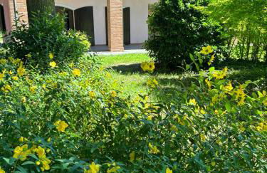 Portego mio - Foto 22