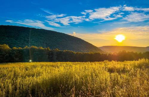 Mountain Brook Cabin - Foto 9