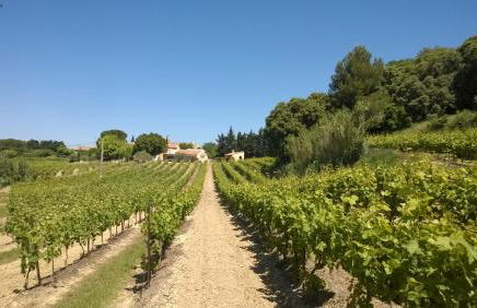 Mas du Tilleul - Foto 16