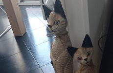 Appartamento Terrazza Bella Vista - Foto 1