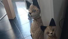 Appartamento Terrazza Bella Vista - Foto 1