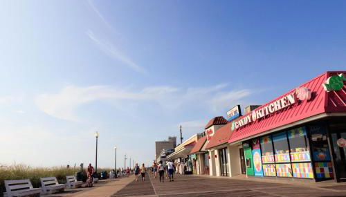 Olive Avenue 1A - Foto 3