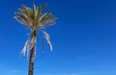 ViLoKa Sicilian Guest House - Foto 24