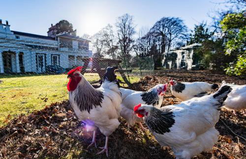 East Wing Apartment in Elgin - Foto 69