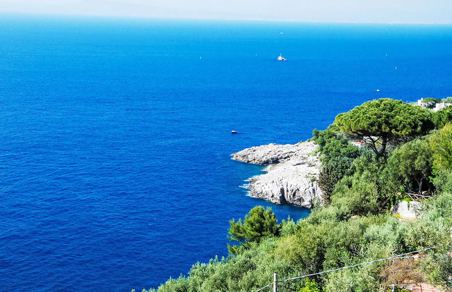 Giardino Caprese - Foto 25