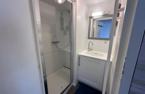 Les Lofts vue Port Guillaume - Foto 18