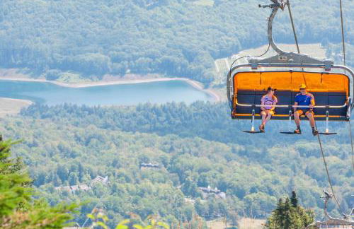 1br Ski-in, Ski-out With King Bed- Okemo Mtn Lodge 1 Bedroom Condo by RedAwning - Foto 28
