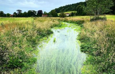 Perfectly Positioned Hambleden House - Foto 25