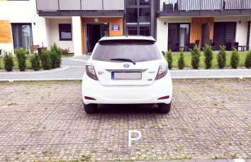 Między Lasem a Morzem - Foto 18