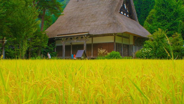 Discover Shirakawa-go, Gokayama and the Wood Carving Village of Inami - Full-Day Tour - Photo 2