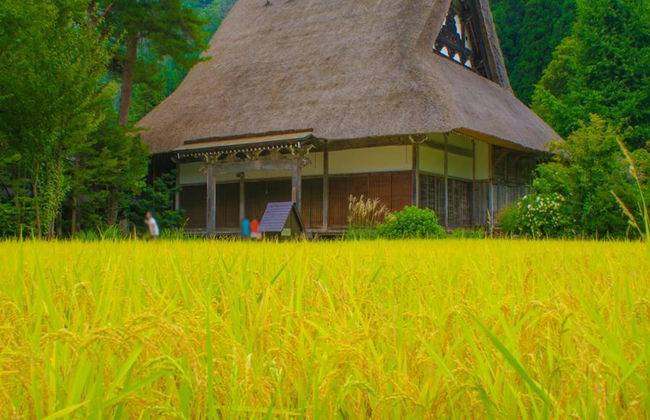 Discover Shirakawa-go, Gokayama and the Wood Carving Village of Inami - Full-Day Tour - Photo 2