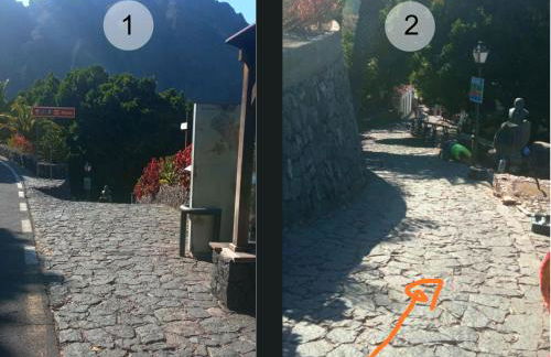 Live masca casatarucho - Foto 40