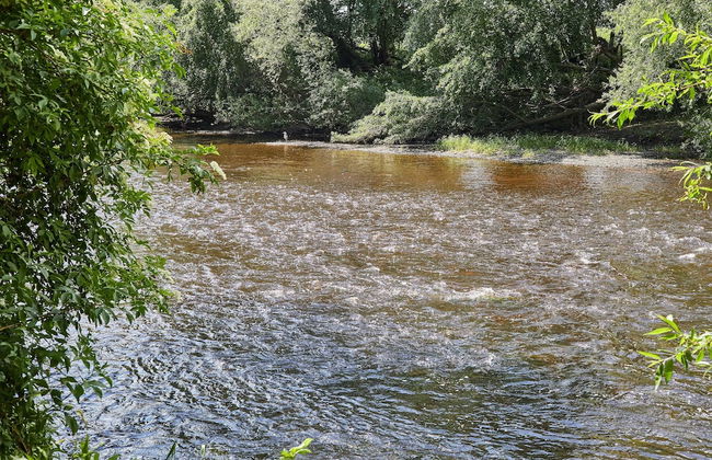 Host Stay May Cottage - Foto 21