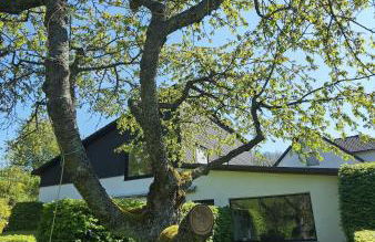 Sauerland Alm Winterberg 5 - Foto 21