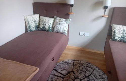 Temeszówka domek do wynajęcia - Foto 13